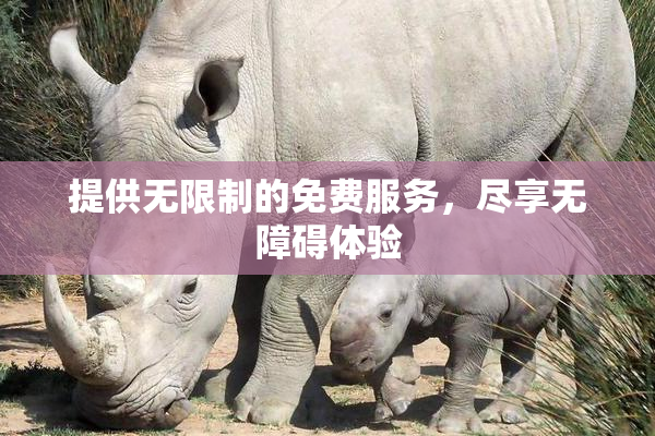 提供无限制的免费服务，尽享无障碍体验
