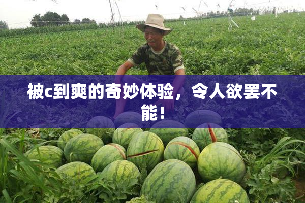 被c到爽的奇妙体验，令人欲罢不能！