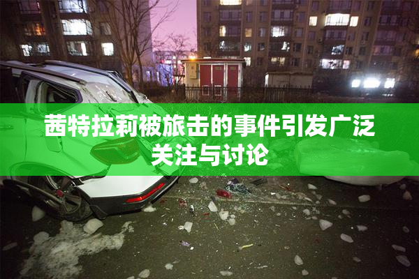 茜特拉莉被旅击的事件引发广泛关注与讨论
