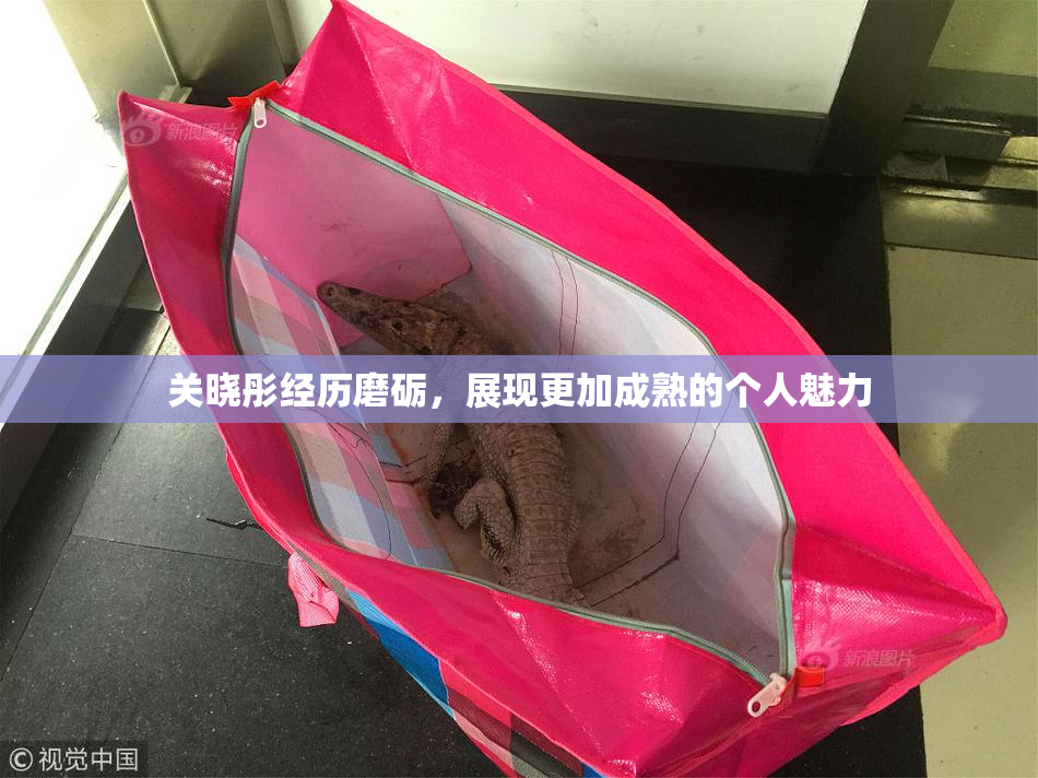 关晓彤经历磨砺，展现更加成熟的个人魅力