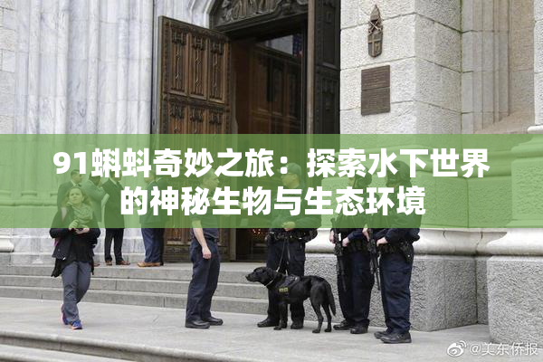 91蝌蚪奇妙之旅：探索水下世界的神秘生物与生态环境