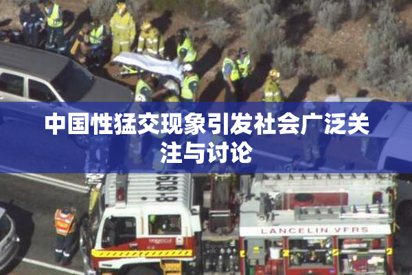 中国性猛交现象引发社会广泛关注与讨论