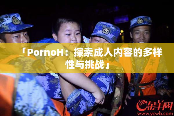 「PornoH：探索成人内容的多样性与挑战」