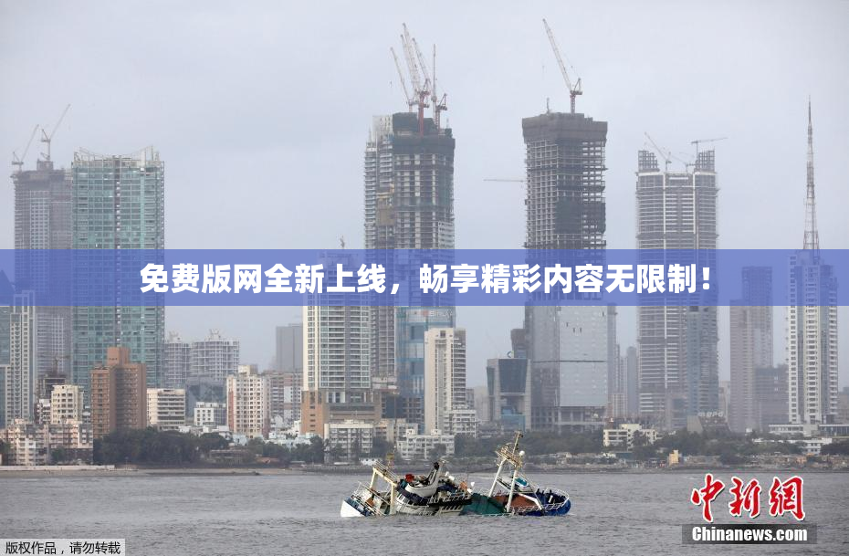 免费版网全新上线，畅享精彩内容无限制！