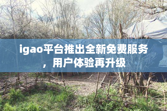 igao平台推出全新免费服务，用户体验再升级
