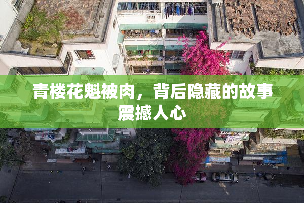 青楼花魁被肉，背后隐藏的故事震撼人心