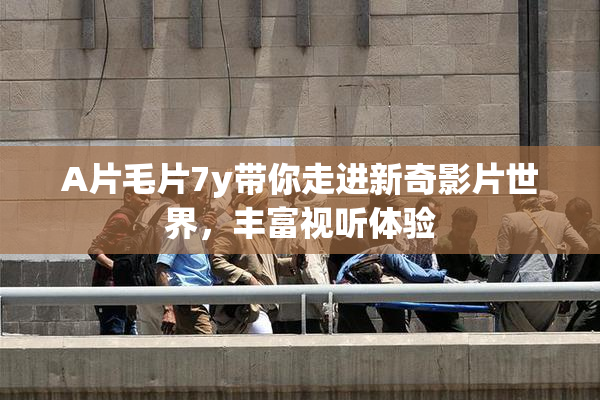 A片毛片7y带你走进新奇影片世界，丰富视听体验