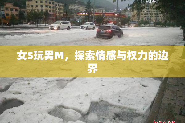 女S玩男M，探索情感与权力的边界