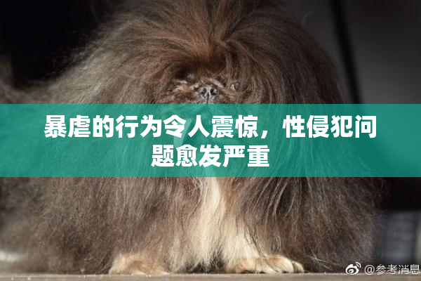 暴虐的行为令人震惊，性侵犯问题愈发严重