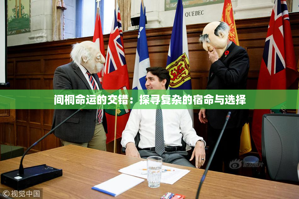 间桐命运的交错：探寻复杂的宿命与选择