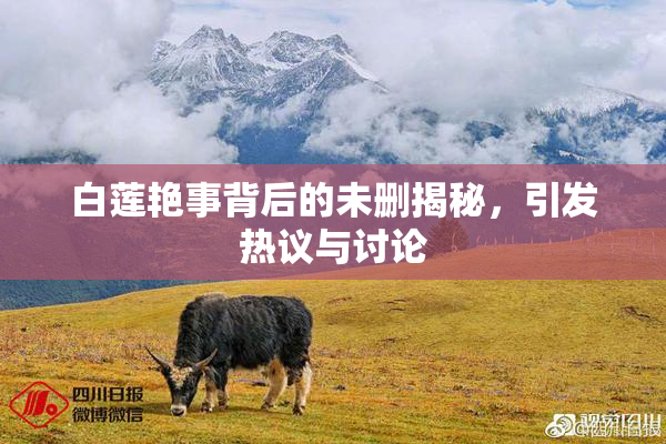 白莲艳事背后的未删揭秘，引发热议与讨论