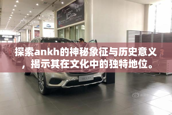探索ankh的神秘象征与历史意义，揭示其在文化中的独特地位。