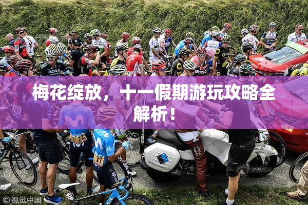 梅花绽放，十一假期游玩攻略全解析！