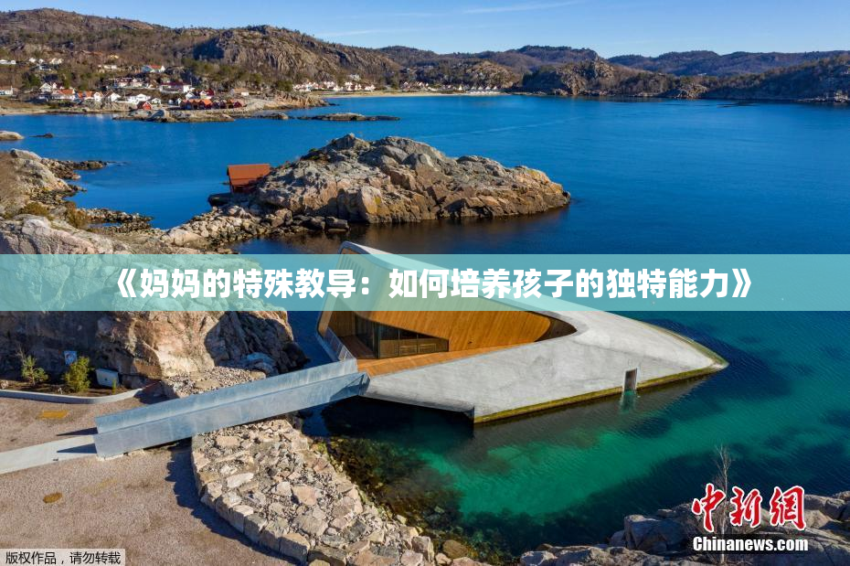 《妈妈的特殊教导：如何培养孩子的独特能力》