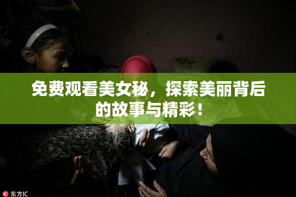 免费观看美女秘，探索美丽背后的故事与精彩！