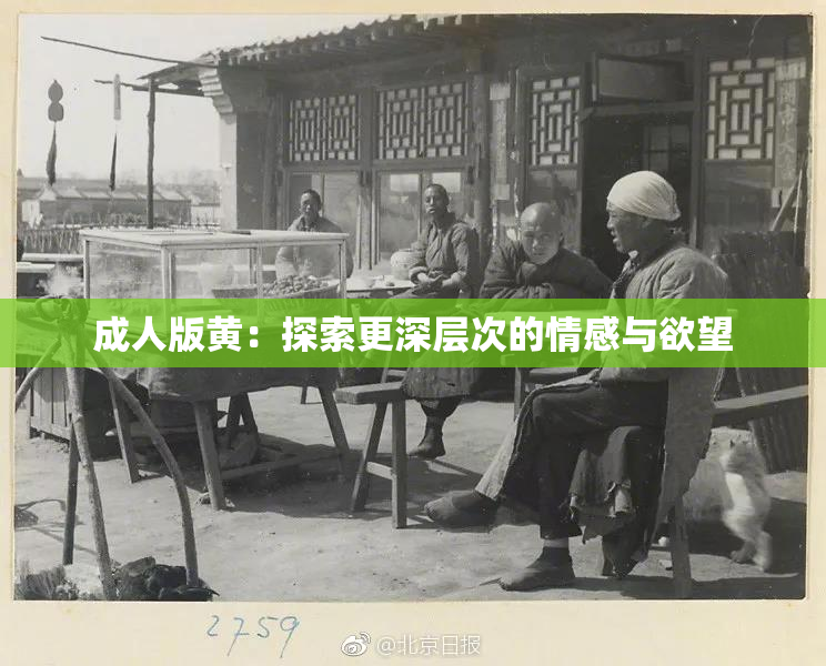 成人版黄：探索更深层次的情感与欲望