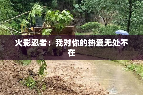 火影忍者：我对你的热爱无处不在