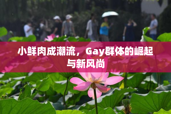 小鲜肉成潮流，Gay群体的崛起与新风尚