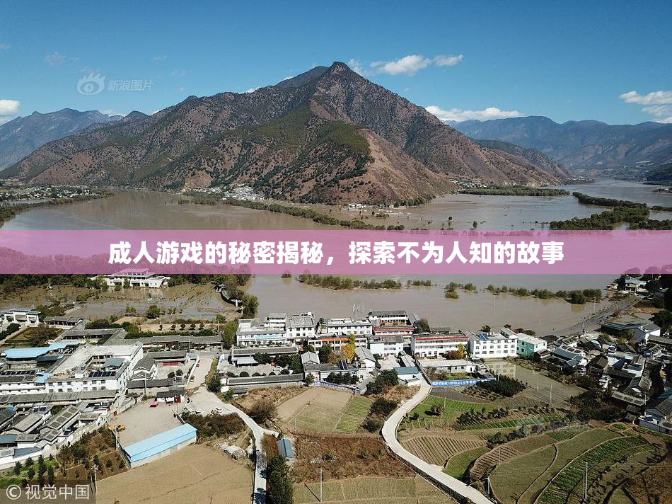 成人游戏的秘密揭秘，探索不为人知的故事