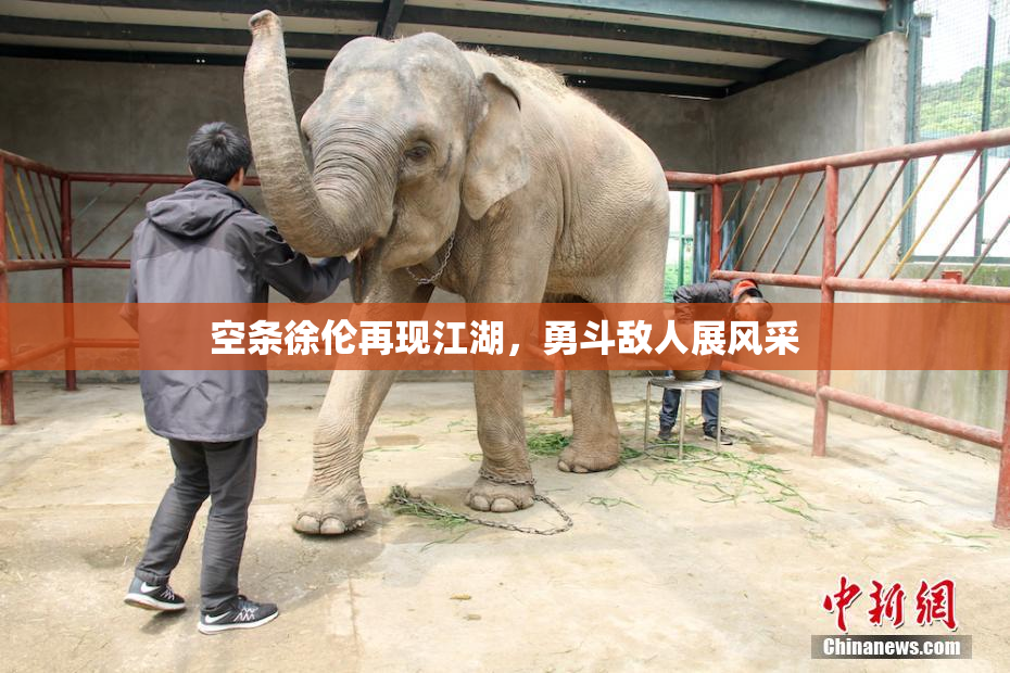 空条徐伦再现江湖，勇斗敌人展风采