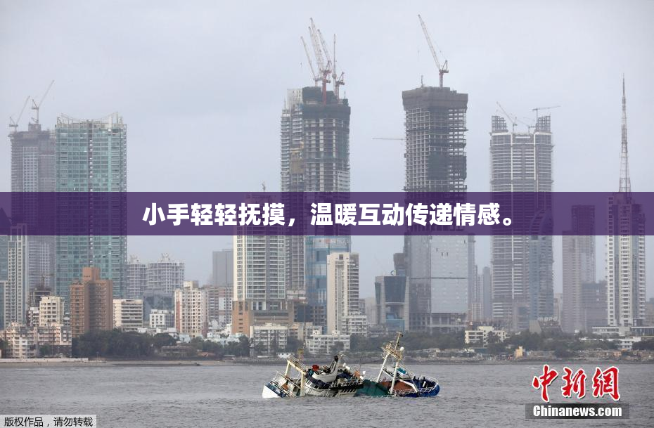 小手轻轻抚摸，温暖互动传递情感。