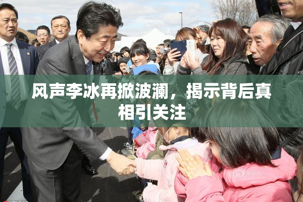 风声李冰再掀波澜，揭示背后真相引关注