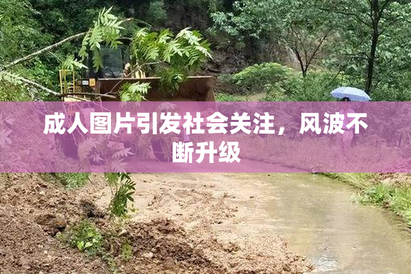 成人图片引发社会关注，风波不断升级
