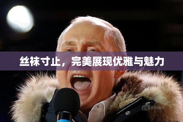 丝袜寸止，完美展现优雅与魅力