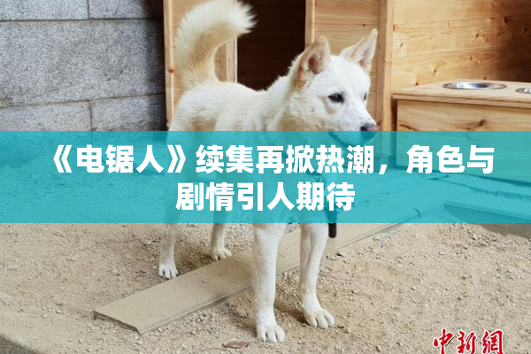 《电锯人》续集再掀热潮，角色与剧情引人期待