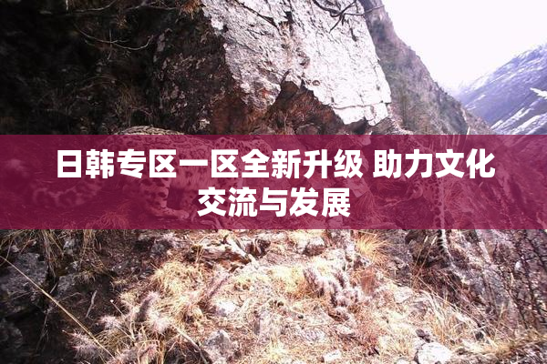 日韩专区一区全新升级 助力文化交流与发展
