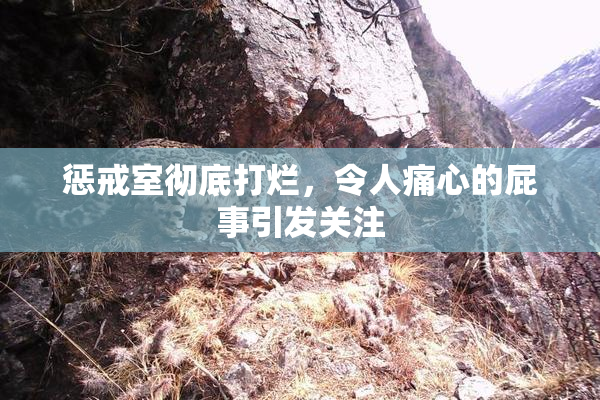 惩戒室彻底打烂，令人痛心的屁事引发关注