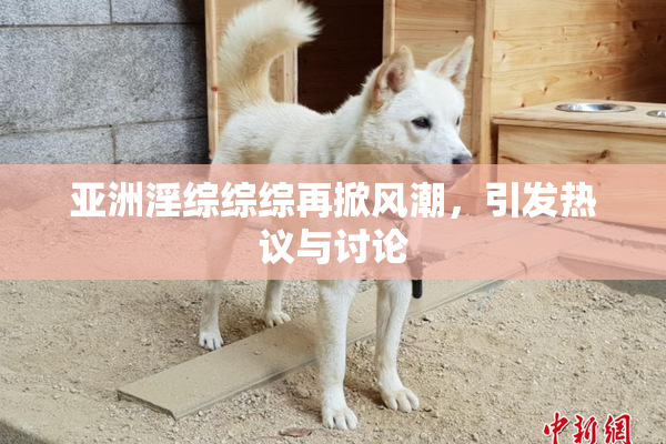 亚洲淫综综综再掀风潮，引发热议与讨论