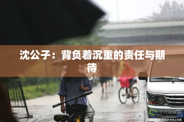 沈公子：背负着沉重的责任与期待