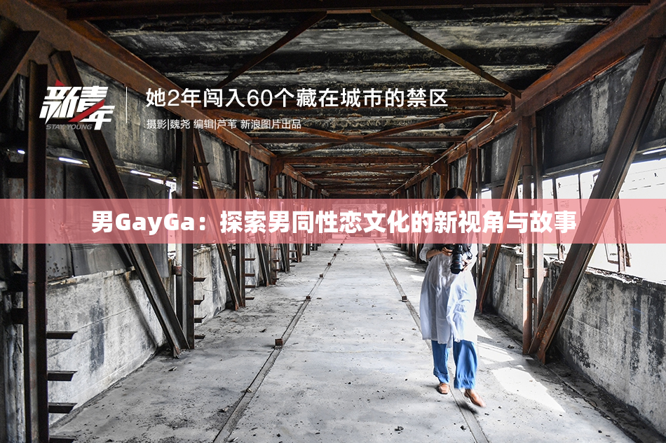男GayGa：探索男同性恋文化的新视角与故事