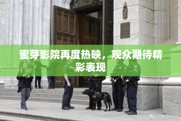 蜜芽影院再度热映，观众期待精彩表现