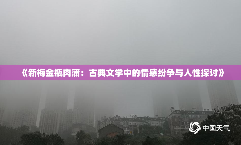 《新梅金瓶肉蒲：古典文学中的情感纷争与人性探讨》