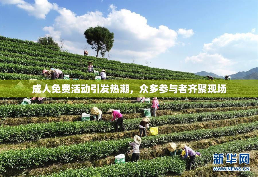 成人免费活动引发热潮，众多参与者齐聚现场