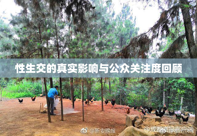性生交的真实影响与公众关注度回顾