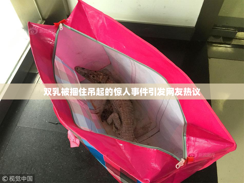 双乳被捆住吊起的惊人事件引发网友热议