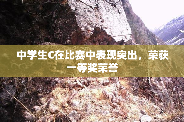 中学生C在比赛中表现突出，荣获一等奖荣誉