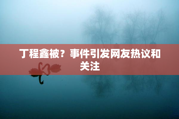 丁程鑫被？事件引发网友热议和关注
