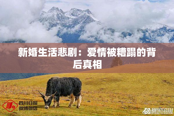 新婚生活悲剧：爱情被糟蹋的背后真相