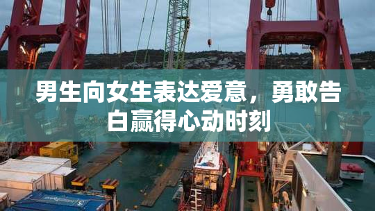 男生向女生表达爱意，勇敢告白赢得心动时刻