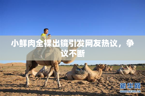 小鲜肉全裸出镜引发网友热议，争议不断