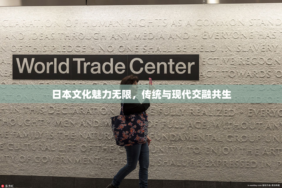 日本文化魅力无限，传统与现代交融共生