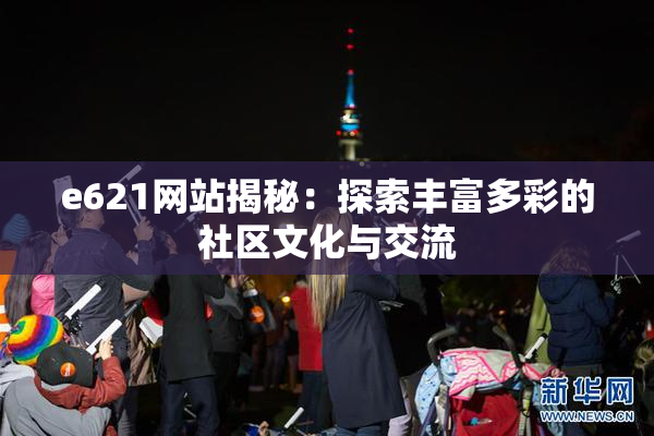e621网站揭秘：探索丰富多彩的社区文化与交流