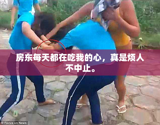 房东每天都在吃我的心，真是烦人不中止。