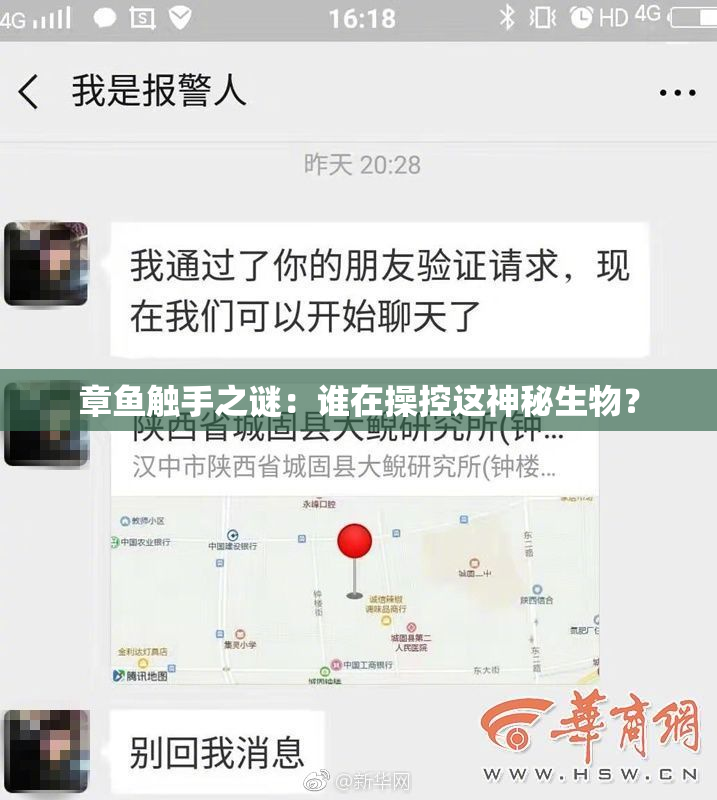 章鱼触手之谜：谁在操控这神秘生物？