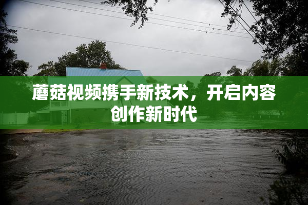 蘑菇视频携手新技术，开启内容创作新时代
