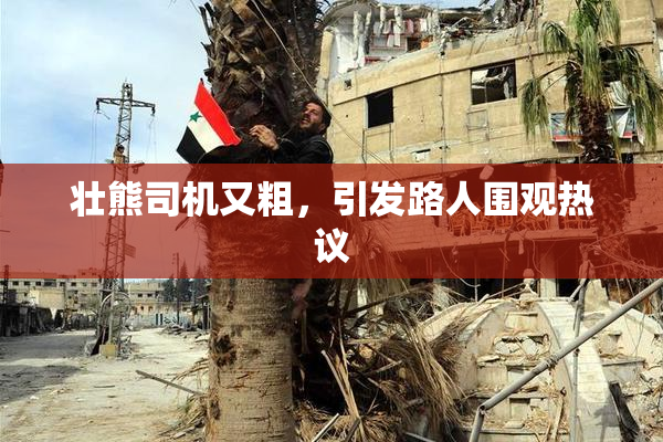 壮熊司机又粗，引发路人围观热议
